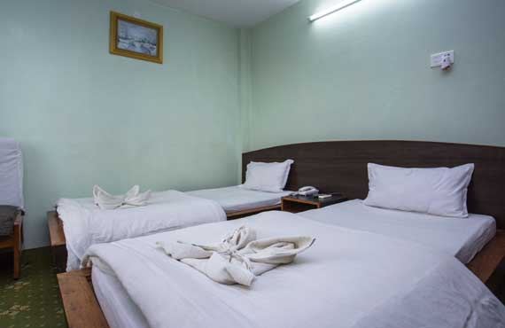 Deluxe Twin Room